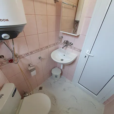 Daire балиноа *